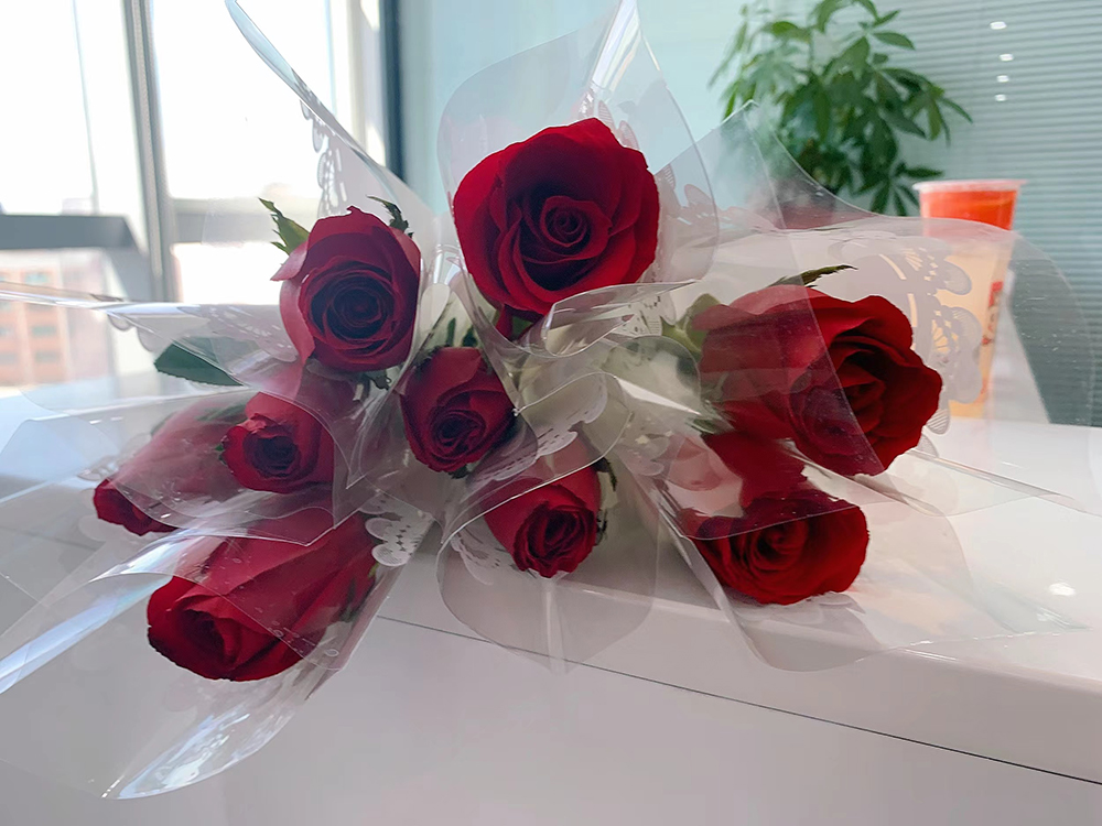 广州v88体育共庆38女神节(图3) 广州v88体育共庆38女神节(图3)