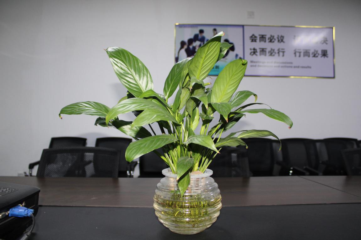 【v88体育】您的每一个生日 我都不想缺席